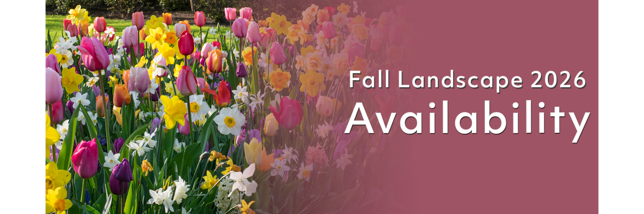 Fall Landscape