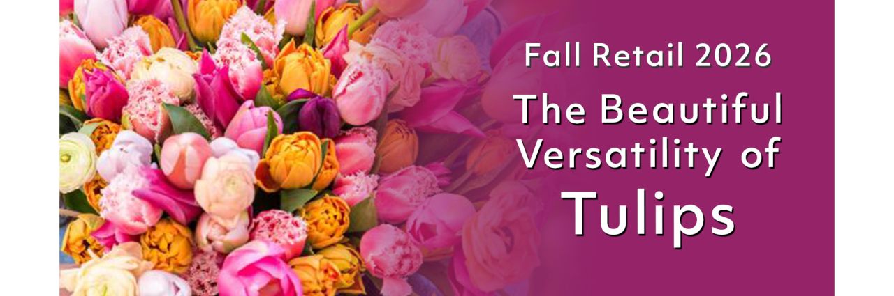 Fall Landscape - Tulips