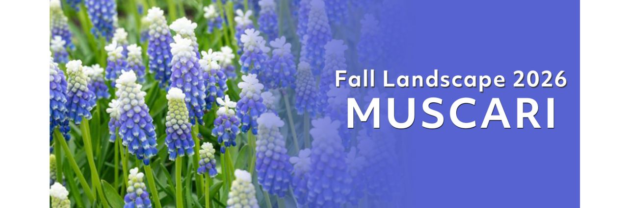 Fall Landscape - Blends
