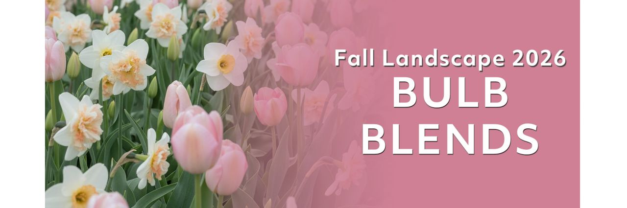 Fall Landscape - Blends