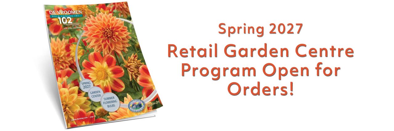 Spring Wholesale