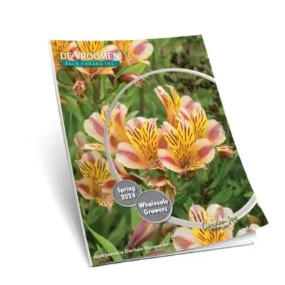 2024 Spring Wholesale Growers Catalog is Now Available