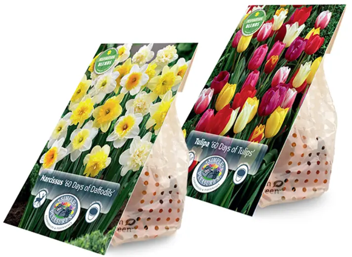 Extend Your Blooms with These Long-Lasting Blends!