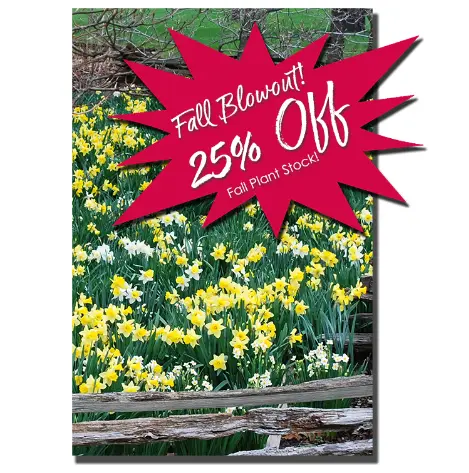 Fall Blowout – Get 25% Off All Fall Plant Stock!