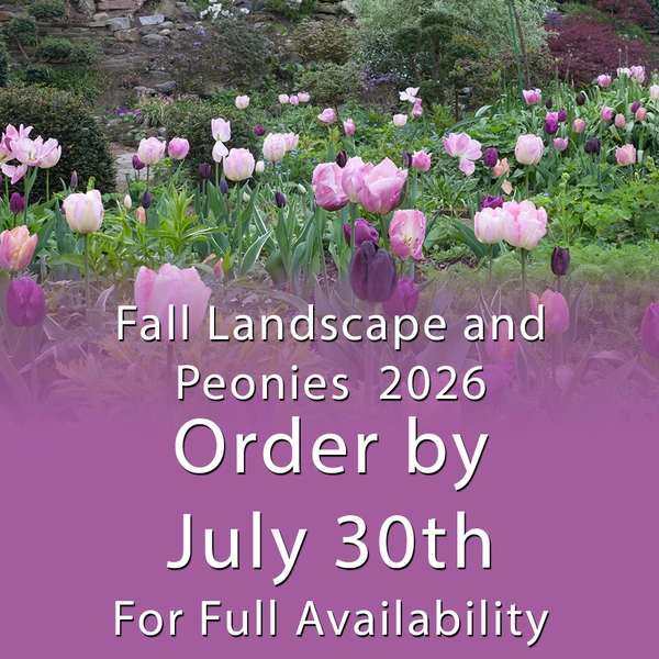 Fall Landscape & Peonies 2026 -  Order by Thursday, July 30th for Full Availability