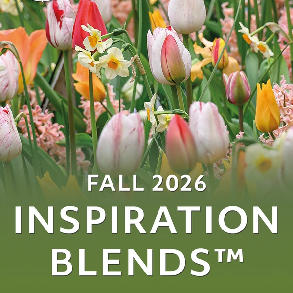 Fall Retail 2026 - Extend the Bloom Season with Inspiration Blends™