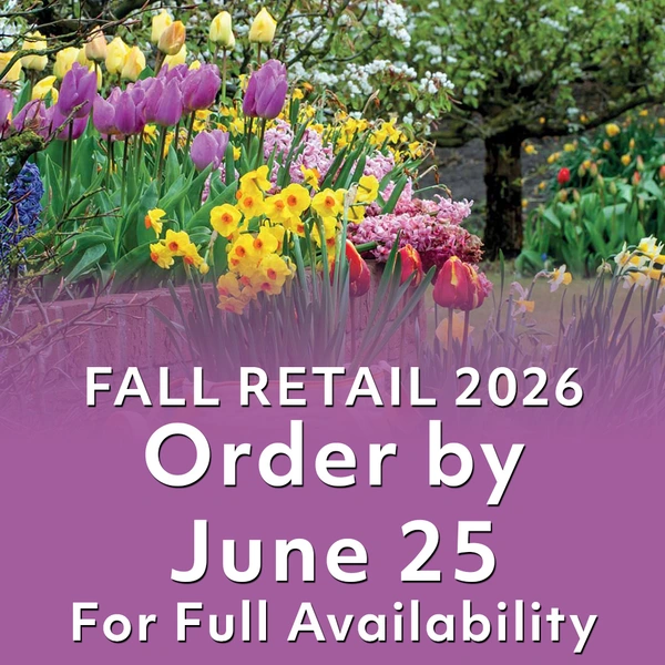 Fall Retail 2026 - Order by June 25 for Full Availability