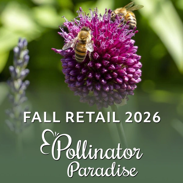 Fall Retail 2026 - Pollinator Paradise