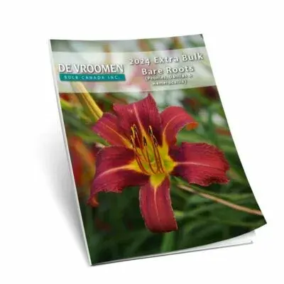 Online Only – Daylily Program!