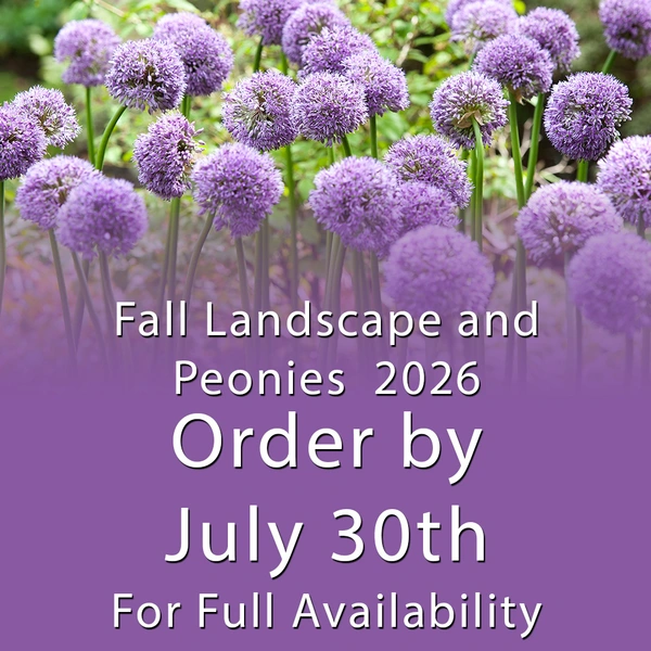 Reminder - Fall Landscape & Peonies 2026 - Order by Thursday, July 30th for Full Availability