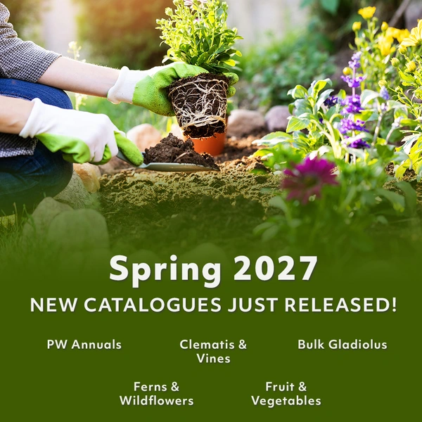 Spring 2027 - New Catalogues Just Released