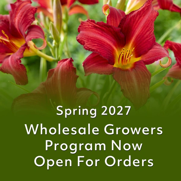Spring 2027 - Wholesale Growers Program Now Open for Orders!