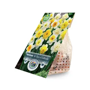 60 Days of Narcissus | Cappers 20 x 15 - image 2
