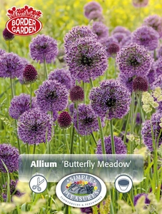 Allium Blend Butterfly Meadow | Capper 15 x 30 - image 4