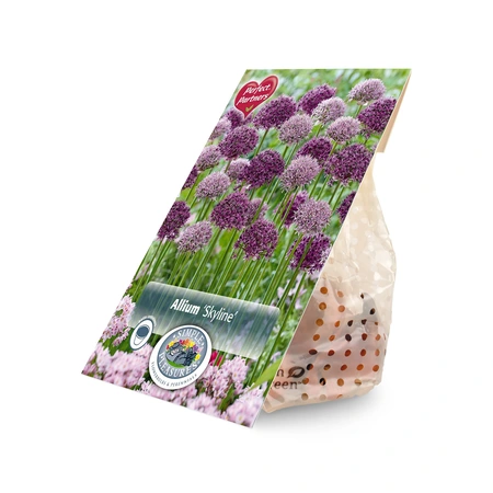 Allium Blend Skyline | Cappers 10 x 16 - image 3