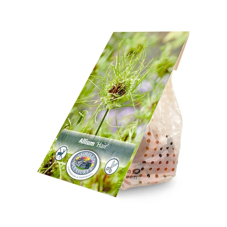 Allium Hair | Cappers 15 x 20 - image 3