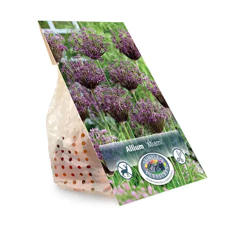 Allium Miami | Cappers 8 x 15 - image 3