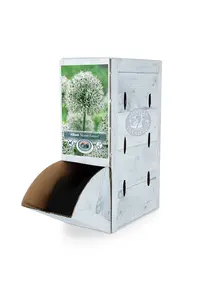 Allium Mount Everest | 25 pce - image 2
