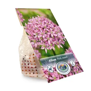 Allium Pink Jewel | Cappers 2 x 25 - image 3