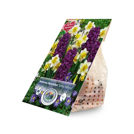 Blend Narcissus/Hyacinthus Spring Perfume | Capper 20 x 8 - image 2
