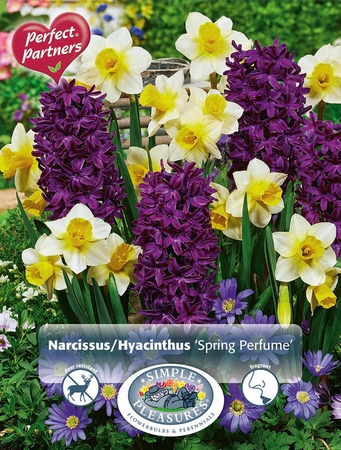 Blend Narcissus/Hyacinthus Spring Perfume | Capper 20 x 8 - image 3