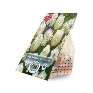 Blend Narcissus/Tulipa White Wonders | Cappers 10 x 16 - image 2