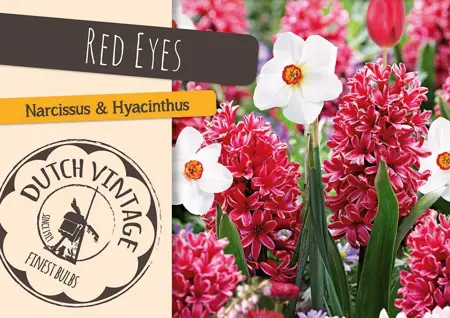 Blend Red Eyes | Cappers 8 x 16 - image 1