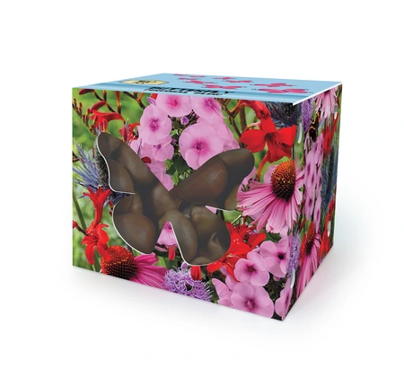 Pre-Packed Collection Butterfly Perennial Box | 50 x 48