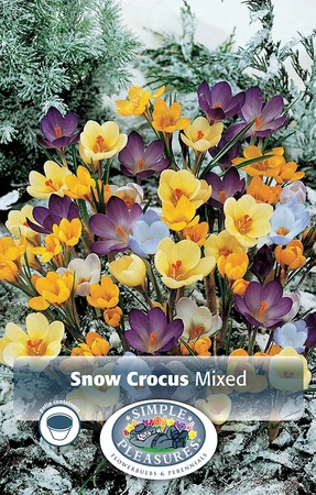Crocus Specie Mixed | Capper 16 x 20