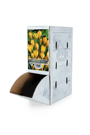 Crocus Vernus Golden Yellow | 200 pce - image 2