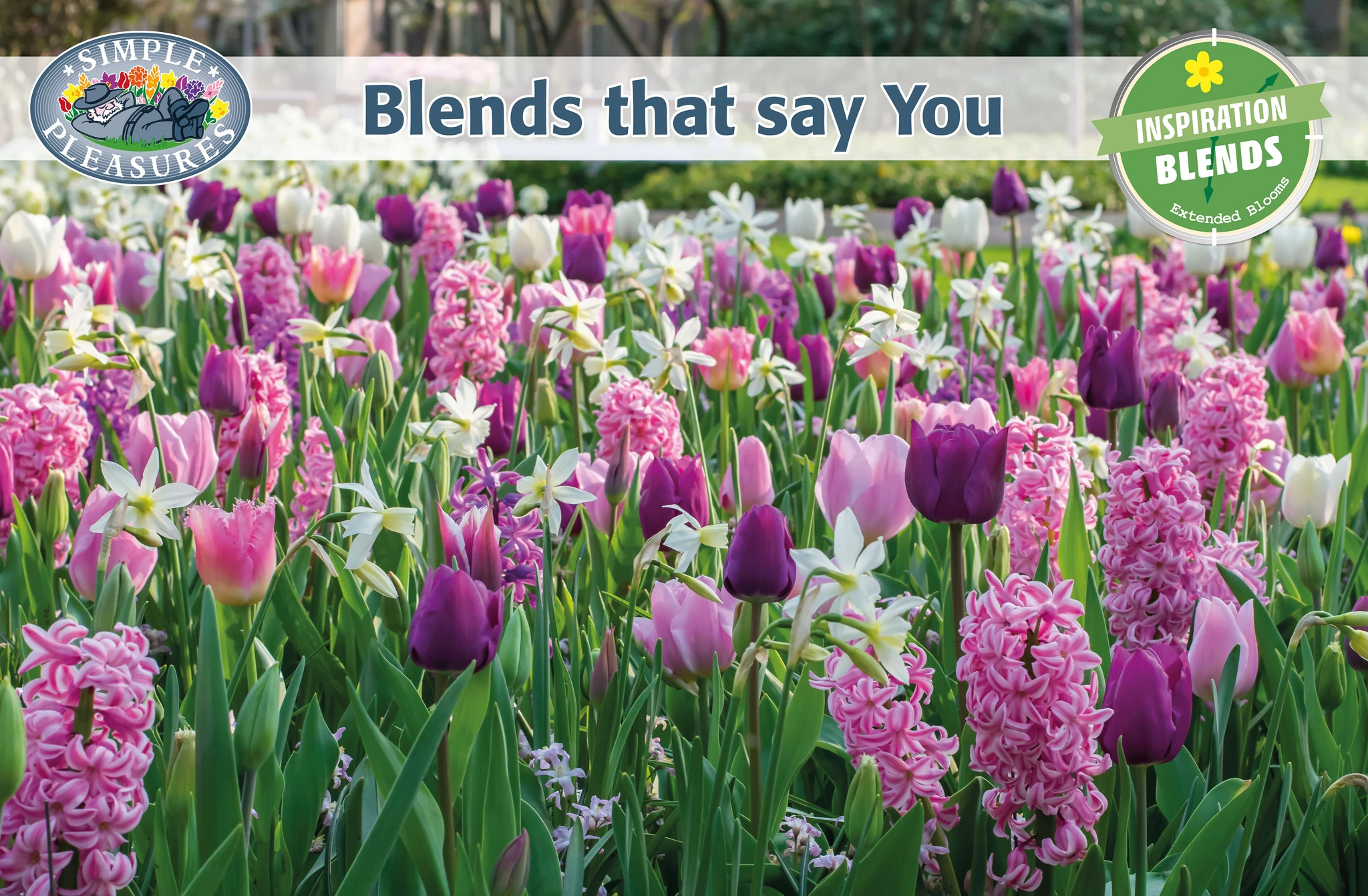 Display Inspiration Blends De Vroomen