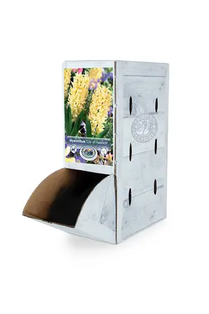 Hyacinthus City Of Haarlem | 60 pce - image 2