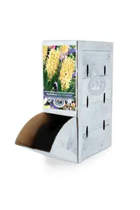 Hyacinthus City Of Haarlem | 60 pce - image 2