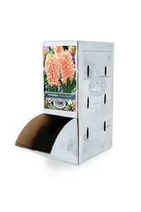 Hyacinthus Gipsy Queen | 60 pce - image 2
