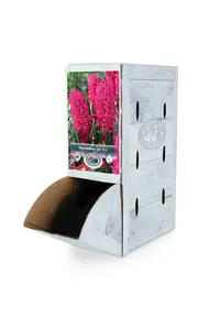 Hyacinthus Jan Bos | 60 pce - image 2