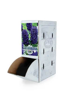 Hyacinthus Peter Stuyvesant | 60 pce - image 2