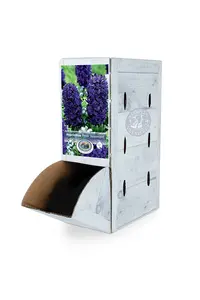 Hyacinthus Peter Stuyvesant | 60 pce - image 2