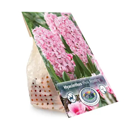 Hyacinthus Pink Frosting (Fondant) | Cappers 4 x 16 - image 3
