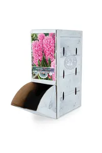 Hyacinthus Pink Pearl | 60 pce - image 2