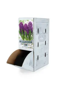 Hyacinthus Woodstock | 60 pce - image 2