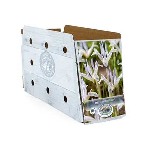 Iris Botanical Painted Lady | Capper 15 x 20 - image 2