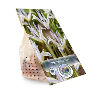 Iris Botanical Painted Lady | Capper 15 x 20 - image 3
