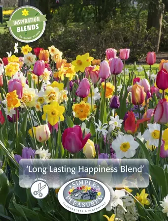 Long Lasting Happiness Blend | Cappers 15 x 15 - image 1