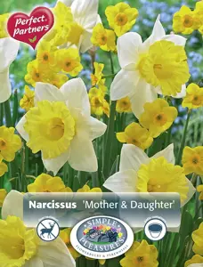 Narcissus Blend Mother and Daughter | Cappers 12 x 16