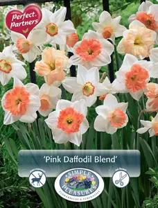 Narcissus Blend Pink | Cappers 10 x 20