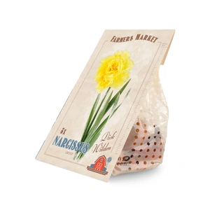 Narcissus Dick Wilden | Capper 20 x 8 - image 3