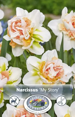 Narcissus Double My Story | 60 pce - image 1