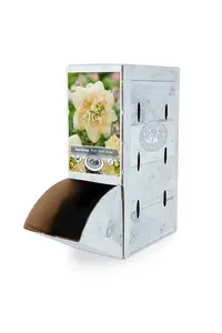 Narcissus Double Pom Rose | 60 pce - image 2