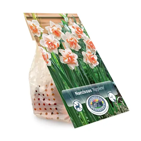 Narcissus Double Replete | Cappers 5 x 12 - image 3