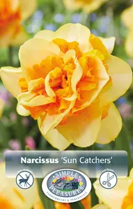 Narcissus Double Sun Catchers | 60 pce